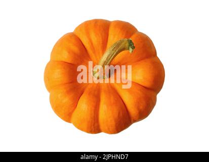 Draufsicht auf lebendige Orange Reife Kürbis isoliert auf weißem Hintergrund Stockfoto
