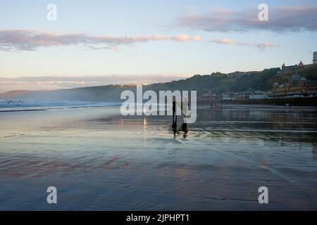 Surfpaar am Scarborough Beach in der Abenddämmerung, das mit anderen Surfern in der Ferne in Richtung Kamera läuft Stockfoto