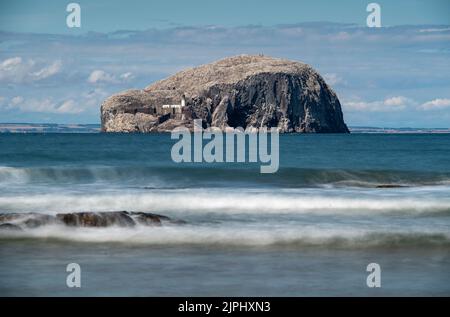 Bass Rock vom Seacliff Beach in der Nähe von North Berwick, East Lothian, Schottland Stockfoto