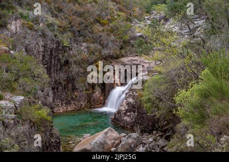 Kleiner Wasserfall und grüner Bergteich in Portela do Homem, Nationalpark Peneda-Geres, Nord-Portugal Stockfoto