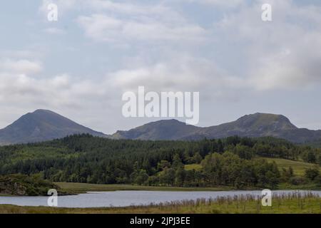 Eine malerische Aussicht auf einen Fluss, der durch die Bergwälder im Snowdonia National Park UK, Wales fließt Stockfoto