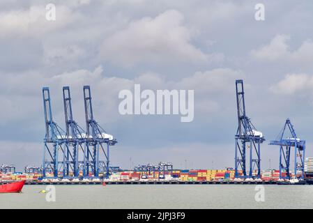 Portalkrane im Hafen von Felixstowe. Stockfoto
