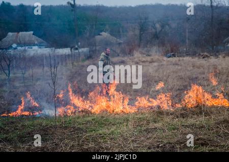 Der Mensch zündet brennendes Gras an. Brennendes Gras auf dem Feld im Dorf. Brennendes trockenes Gras auf Feldern. Wildes Feuer aufgrund des heißen, windigen Wetters im Sommer. Stockfoto