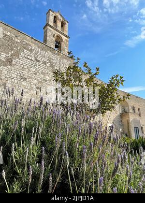 Carovigno, Italien. Außenansicht, mit den befestigten Mauern und dem Glockenturm, der Chiesa di Sant'Anna (Kirche St. Anna) aus dem 17.. Jahrhundert. Stockfoto