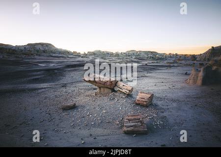 Versteinertes Holz in der Wildnis von De-Na-Zin Stockfoto