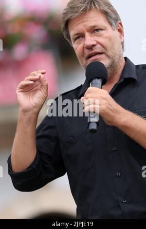 Mikrofon, Rede, Politiker, robert habeck, bündnis 90/die grünen, promi, Mikrofone, Reden, Politiker Stockfoto