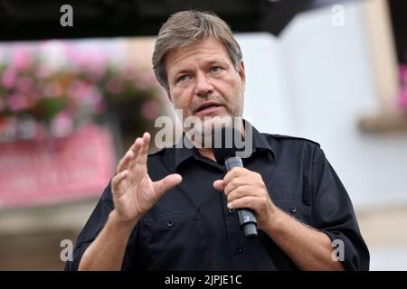 Politiker, robert habeck, bündnis 90/die grünen, promi, Politiker Stockfoto