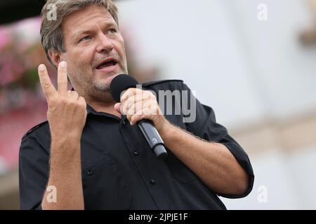 Politiker, robert habeck, bündnis 90/die grünen, promi, Politiker Stockfoto