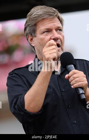 Politiker, robert habeck, bündnis 90/die grünen, promi, Politiker Stockfoto