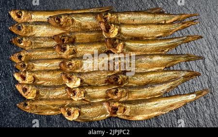 Geräuchert, Sprotte, Smokeds, Sprossen, rigaer Sprossen Stockfoto