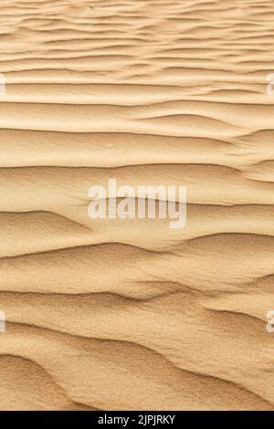 Wüste, Sand, gekräuselt, Wüsten, wüste, sands, Ripsblätter Stockfoto