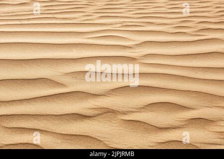 Wüste, Sand, gekräuselt, Wüsten, wüste, sands, Ripsblätter Stockfoto