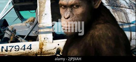 APE, Aufstieg der Planet der Affen, 2011 Stockfoto