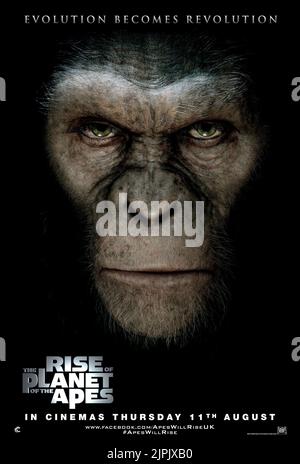 APE POSTER, Aufstieg der Planet der Affen, 2011 Stockfoto