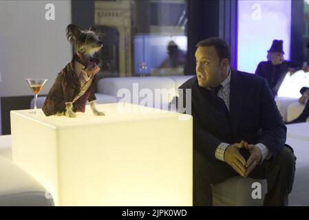 KEVIN JAMES, Tierpfleger, 2011 Stockfoto