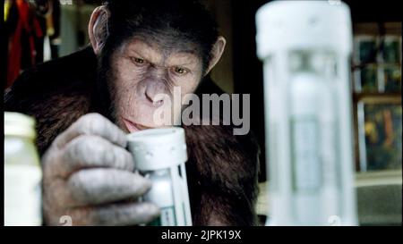 APE, Aufstieg der Planet der Affen, 2011 Stockfoto