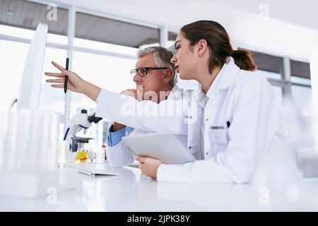 Zwei Wissenschaftler arbeiten gemeinsam an einem Computer in einem Labor. Stockfoto