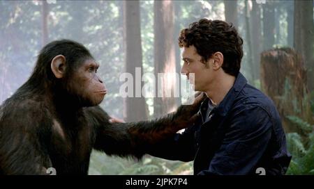 SERKIS, FRANCO, AUFSTIEG DES PLANETEN DER AFFEN, 2011 Stockfoto