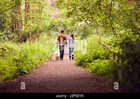 Paar, Wald, gehen, Hund, Paare, Wälder, Wälder, Wälder, Spaziergänge, Hunde Stockfoto