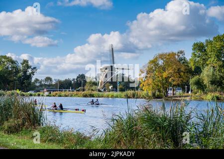 Crewing along the Amstel River wiyh Rieker Windmill in background, Amsterdam, Netherlands Stockfoto