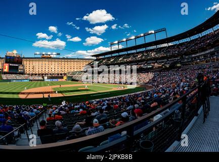 Baltimore, USA. 18. August 2022. BALTIMORE, MD - AUGUST 18:Eine gute Menge an einem Dienstag Nachmittag während eines MLB-Spiels zwischen den Baltimore Orioles und den Chicago Cubs, am 18. August 2022, im Orioles Park in Camden Yards, in Baltimore, Maryland. (Foto von Tony Quinn/SipaUSA) Quelle: SIPA USA/Alamy Live News Stockfoto