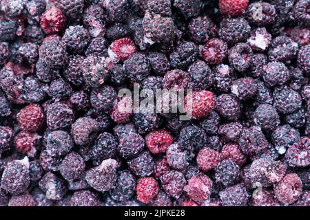 Gefroren, Brombeere, gekühlt, gefroren, Brombeeren, Kühlmittel Stockfoto