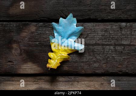 Die gelb-blaue Nationalflagge der Ukraine ist auf ein Blatt einer Eiche gemalt, die auf einem Holztisch liegt. Frieden in der Ukraine und die Freiheit starker Menschen Stockfoto