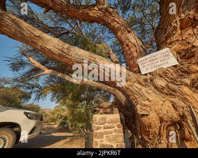 Warnschild in einem Kameldornbaum in Puros Warnung vor Elefanten Stockfoto
