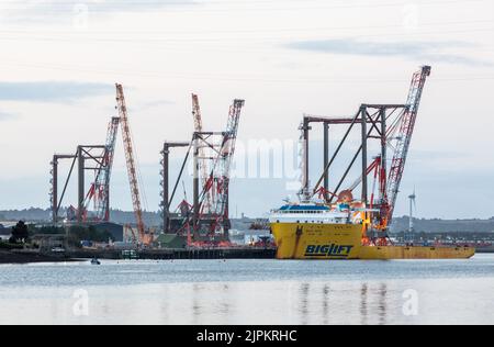 Rushbrooke, Cork, Irland. 19.. August 2022. Der erste von drei Containerkranen wird auf das Deck des Schiffes Biglift Baffin bei Cork Dockyard, Rushbrooke, Co. Cork, Irland, verladen. Die von Liebherr in Killarney gebauten Krane sind die größten Einzelobjekte, die je in Irland entwickelt wurden und von dort an Werften in New York und New Jersey geliefert werden. Kredit; David Creedon / Alamy Live Nachrichten Stockfoto