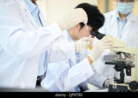 Zugeschnittenes Bild, konzentriert sich ein professionelles asiatisches Wissenschaftlerteam auf ihr medizinisches Experiment, indem es eine Probe im Reagenzglas mithilfe eines Mikroskops justiert, Stockfoto
