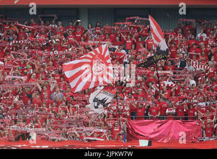 Köln, Deutschland. 08. August 2022. Conference League Qualification, erste Etappe, 1. FC Köln - Fehervar FC, die Fans von Köln jubeln ihrem Team zu. Quelle: Jürgen Schwarz/Alamy Live News Stockfoto