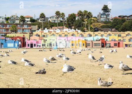 Möwen sitzen am Strand, im Hintergrund ein farbenfrohes Wohnviertel im Capitola Venetian Court an der kalifornischen Küste. Stockfoto