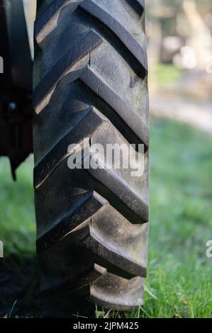 Ein alter blauer Traktor mit seinen großen Rädern auf dem Feld Stockfoto