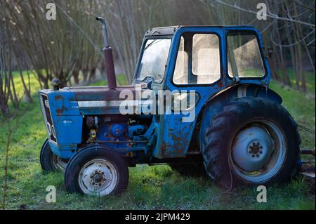 Ein alter blauer Traktor mit seinen großen Rädern auf dem Feld Stockfoto