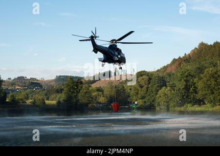 Super Puma der Bundespolizei bei der Wasseraufnahme für Waldbrand Bempfung bei Dillenburg Stockfoto