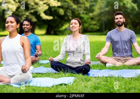 Eine Gruppe von Menschen, die im Sommerpark Yoga machen Stockfoto