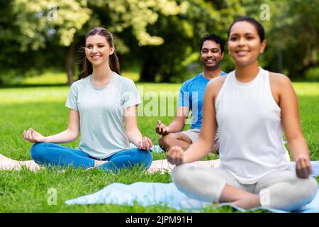 Eine Gruppe von Menschen, die im Sommerpark Yoga machen Stockfoto