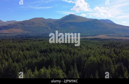 Luftaufnahme von Großbritanniens höchstem Berg - Ben Nevis - mit Pinien im Vordergrund - Foto: Geopix Stockfoto