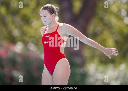 Rom, Italien. 19. August 2022. ROM, ITALIEN - 19. AUGUST: Daphne Wils aus den Niederlanden tritt beim Springboard Women's 3m während des European Aquatics Roma 2022 - Tag 9 im Stadio del Nuoto am 19. August 2022 in Rom, Italien (Foto von Nikola Krstic/BSR Agency) NOCNSF Kredit: Orange Pics BV/Alamy Live News Stockfoto