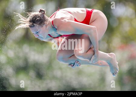 Rom, Italien. 19. August 2022. ROM, ITALIEN - 19. AUGUST: Daphne Wils aus den Niederlanden tritt beim Springboard Women's 3m während des European Aquatics Roma 2022 - Tag 9 im Stadio del Nuoto am 19. August 2022 in Rom, Italien (Foto von Nikola Krstic/BSR Agency) NOCNSF Kredit: Orange Pics BV/Alamy Live News Stockfoto