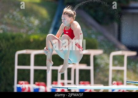 Rom, Italien. 19. August 2022. ROM, ITALIEN - 19. AUGUST: Daphne Wils aus den Niederlanden tritt beim Springboard Women's 3m während des European Aquatics Roma 2022 - Tag 9 im Stadio del Nuoto am 19. August 2022 in Rom, Italien (Foto von Nikola Krstic/BSR Agency) NOCNSF Kredit: Orange Pics BV/Alamy Live News Stockfoto