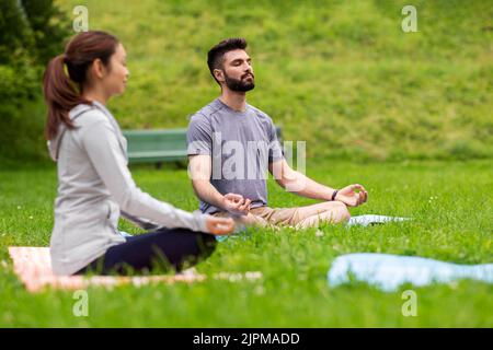 Eine Gruppe von Menschen, die im Sommerpark Yoga machen Stockfoto