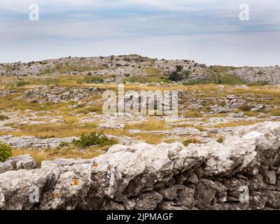 Kalksteinpflaster auf Farleton Fell, Cumbria, Großbritannien. Stockfoto