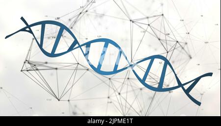 Bild des dna-Strangs auf weißem Hintergrund Stockfoto