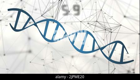 Bild des dna-Strangs auf weißem Hintergrund Stockfoto