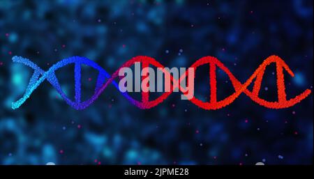 Bild des dna-Strangs auf blauem Hintergrund Stockfoto