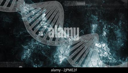 Bild des dna-Strangs auf schwarzem Hintergrund Stockfoto