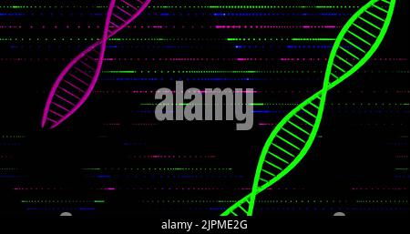 Bild von dna-Strängen auf schwarzem Hintergrund Stockfoto