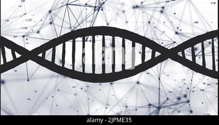 Bild des dna-Strangs auf weißem Hintergrund Stockfoto