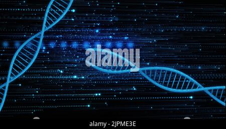 Bild von dna-Strängen auf schwarzem Hintergrund Stockfoto